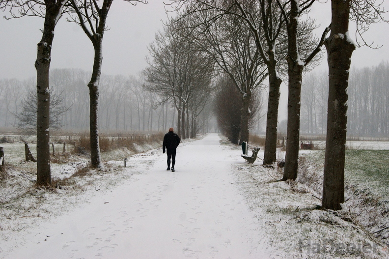 170211-PK-winterlandschap in Heeswijk-_7_ _Large_.JPG